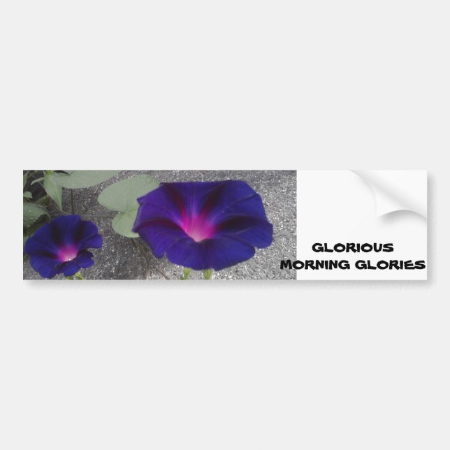 Autocollant De Voiture Sticker pare-chocs à fleurs du matin (Devant)