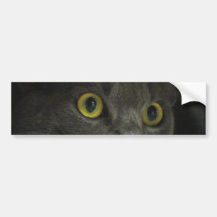 Autocollant De Voiture Sticker pare-chocs d'intensité