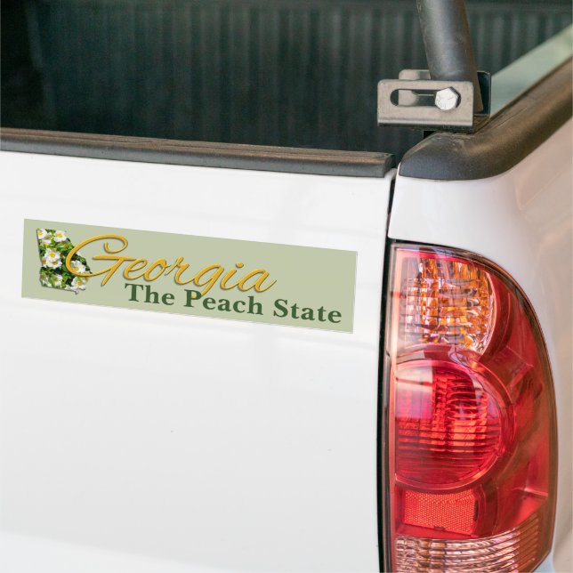 Autocollant De Voiture Sticker pare-chocs - GEORGIE (Sur camion)