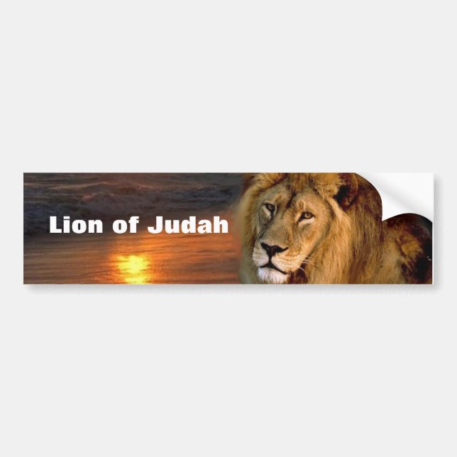 Autocollant De Voiture Sticker pare-chocs Lion de la collection Judah (Devant)