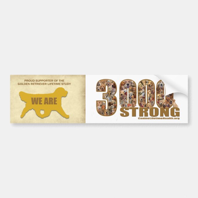 Autocollant De Voiture Sticker pare-chocs - Nous sommes 3000 Fort (Devant)
