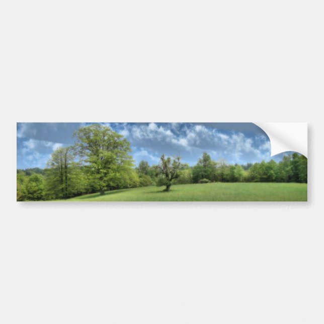 Autocollant De Voiture Sticker pare-chocs vert Appalachian (Devant)