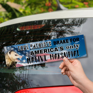 Autocollant De Voiture Sticker Possum - le seul Marsupial autochtone d'Am