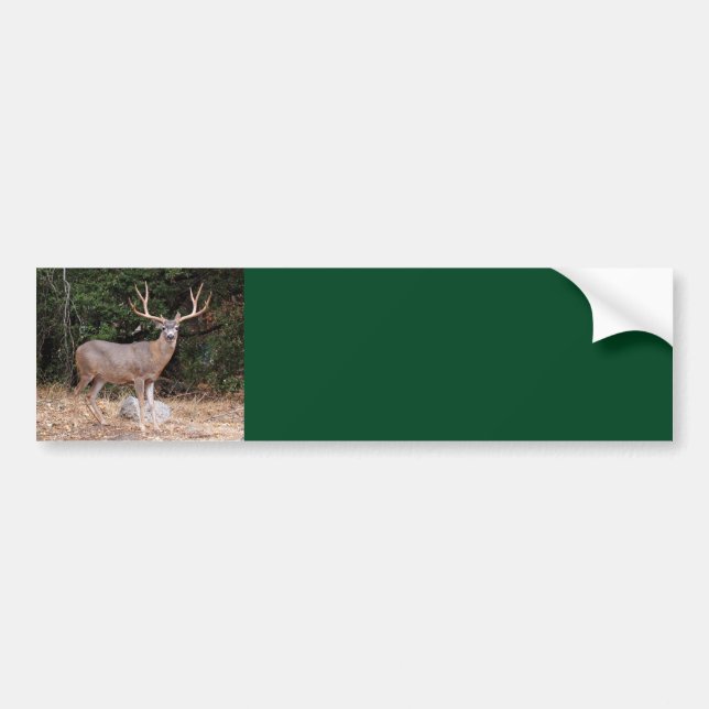 Autocollant De Voiture Sticker pour pare-chocs Arrière - plan cerf (Devant)