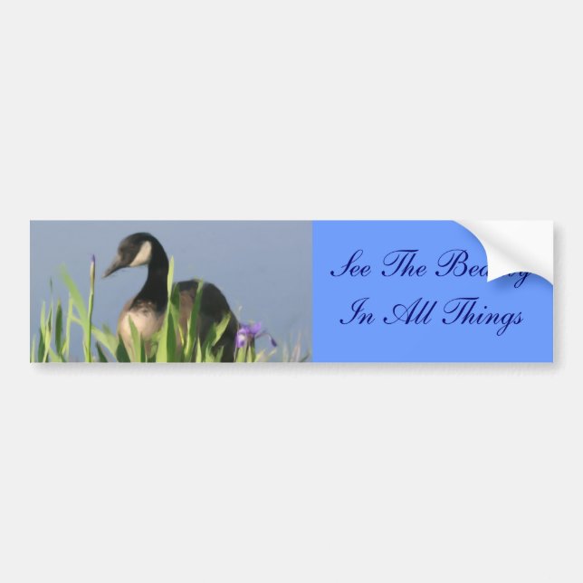 Autocollant De Voiture Sticker pour pare-chocs inspirationnel Wild Goose  (Devant)