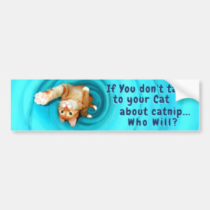 Autocollant De Voiture Sticker pour pare-chocs Kitty Inspirations
