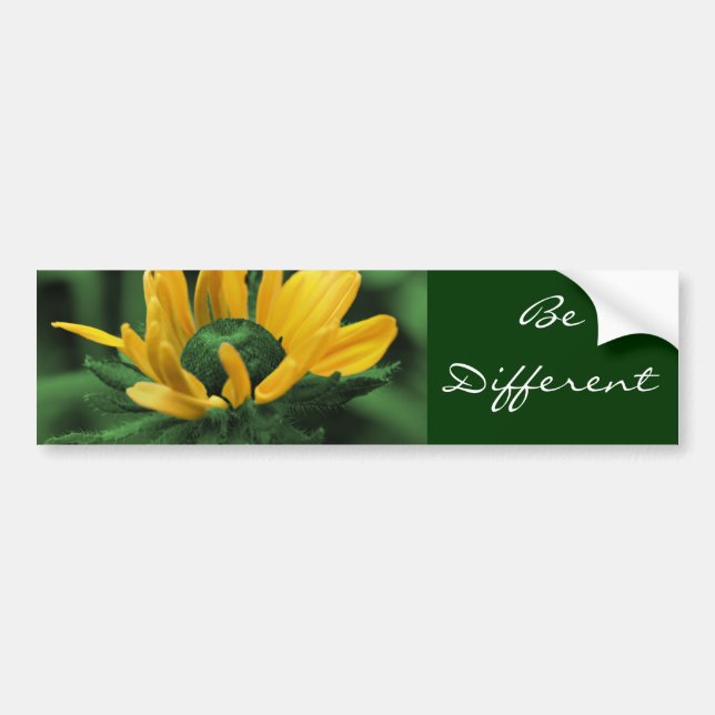 Autocollant De Voiture Sticker pour pare-chocs pour motifs différents (Devant)