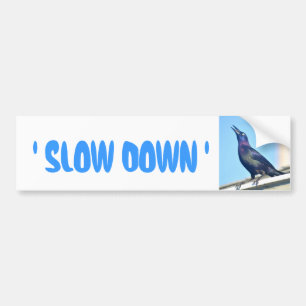 Autocollant De Voiture Sticker Slow Down pour pare-chocs