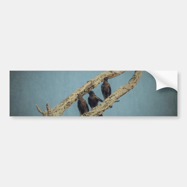 Autocollant De Voiture Sticule pare-chocs 3 corbeaux (Devant)