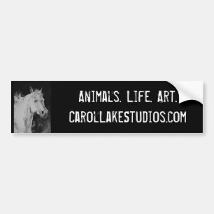 Autocollant De Voiture Studios Bumpersticker de lac carol