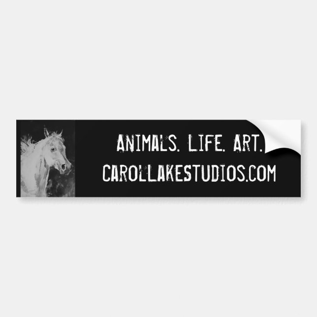Autocollant De Voiture Studios Bumpersticker de lac carol (Devant)