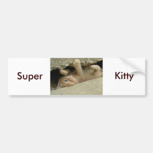 Autocollant De Voiture Super Héros Kitty Cat