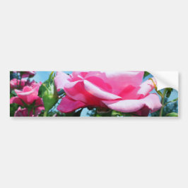 Autocollant De Voiture Superbe rose rose dans le ciel bleu. Photographie 