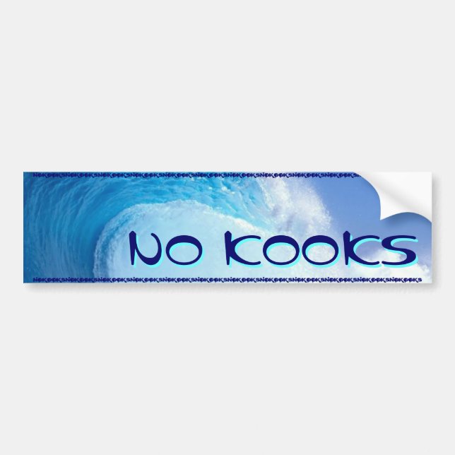 AUTOCOLLANT DE VOITURE SURFER - AUCUNS IDIOTS (Devant)