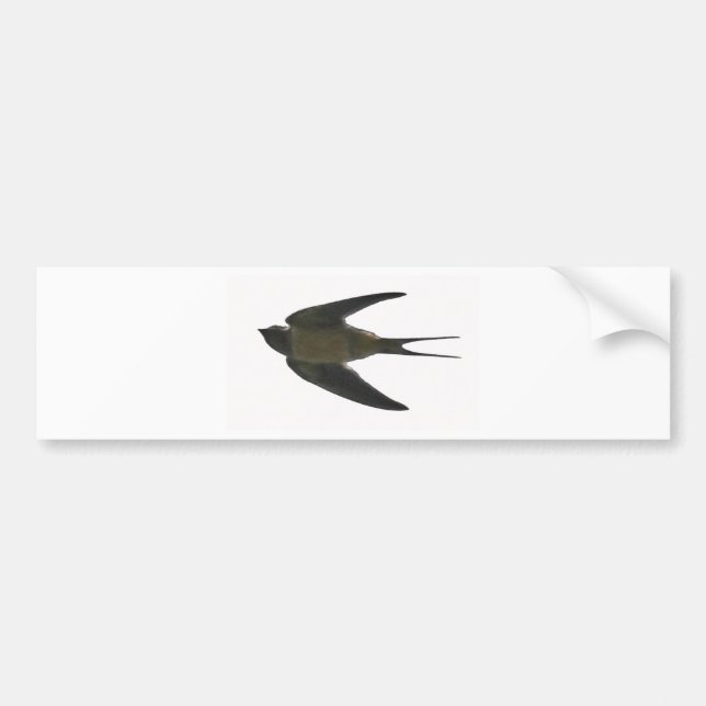 Autocollant De Voiture Swallow (Devant)