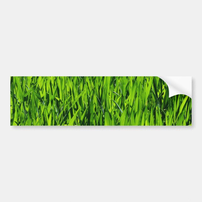 Autocollant De Voiture Tall Blades of Grass (Devant)