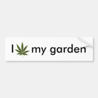tatouage_feuille_pot, Je suis mon jardin
