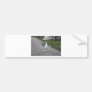 Autocollant De Voiture Terrier Chien à l'air mignon !