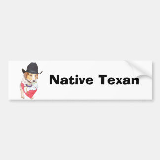 Autocollant De Voiture Texan indigène