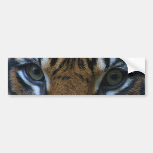 Autocollant De Voiture Tigre