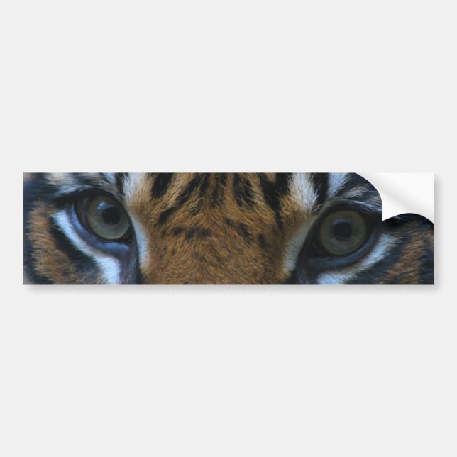 Autocollant De Voiture Tigre (Devant)