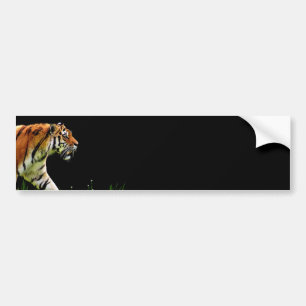 Autocollant De Voiture Tigre approchant - Oeuvres d'art d'animaux sauvage