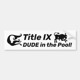 Autocollant De Voiture Titre IX DUDE dans la piscine! Arrêter d'effacer 