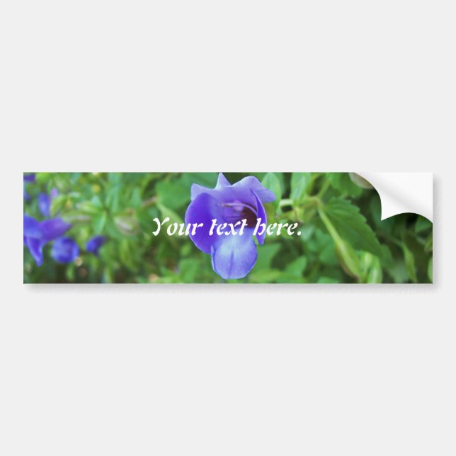 Autocollant De Voiture Torenia (Devant)