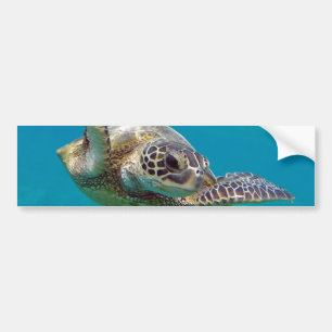 Autocollant De Voiture Tortue de mer verte d'Hawaii - Honu