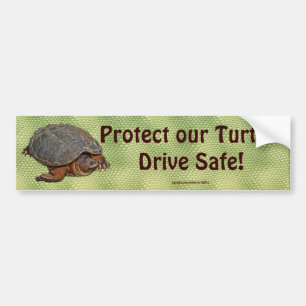 Autocollant De Voiture Tortue serpentine Terrapin-lover Cadeau