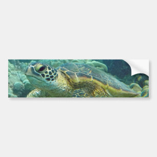 Autocollant De Voiture Tortues à Hawaii