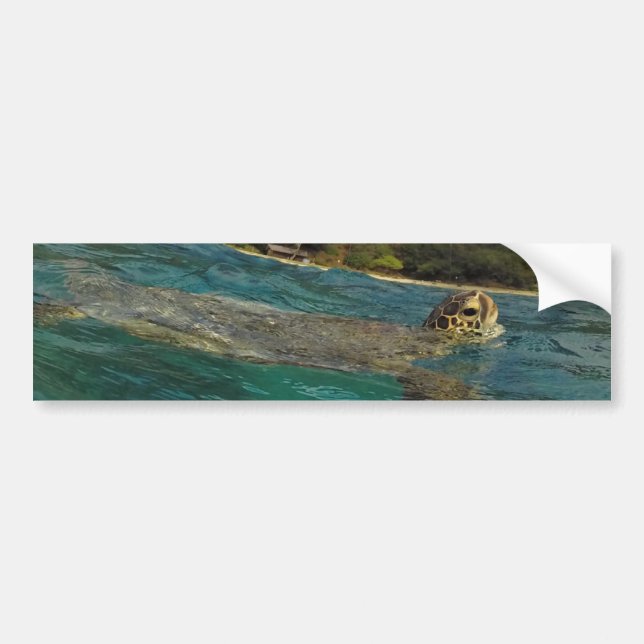 Autocollant De Voiture Tortues hawaïennes - Honu (Devant)