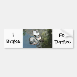 Autocollant De Voiture Tortues/Tortues