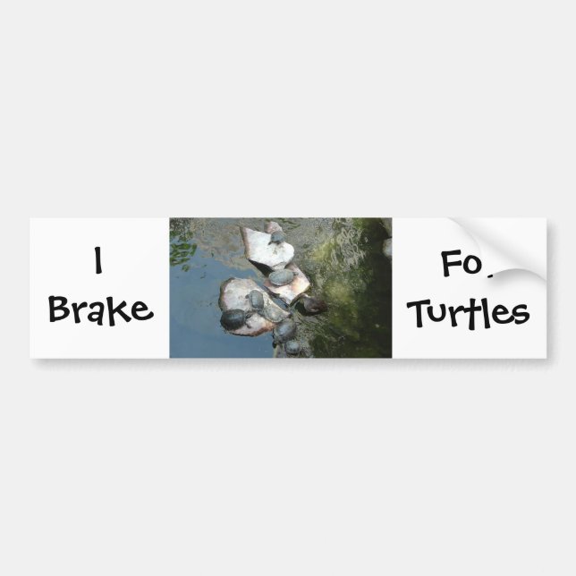Autocollant De Voiture Tortues/Tortues (Devant)