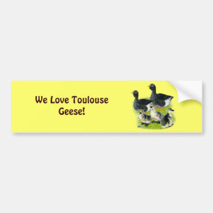 Autocollant De Voiture Toulouse Goose