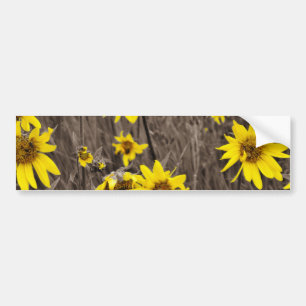 Autocollant De Voiture Tournesol dans la Montagne Rocheuse