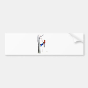 Autocollant De Voiture Tree Surgeon Arborist Forester