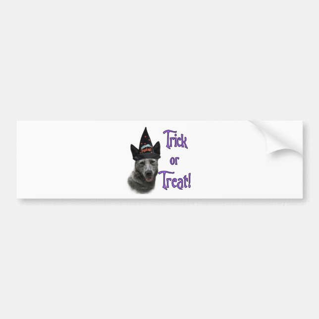 Autocollant De Voiture Tricot de chien de bétail australien (Devant)