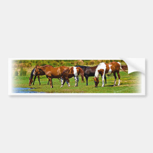 Autocollant De Voiture Troupeau de chevaux
