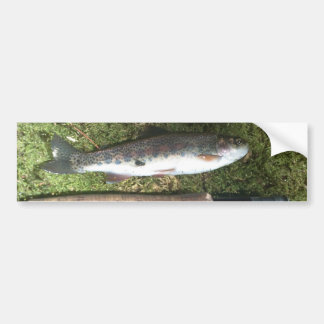 Autocollant De Voiture truite arc-en-ciel et bobine de pêche à la mouche