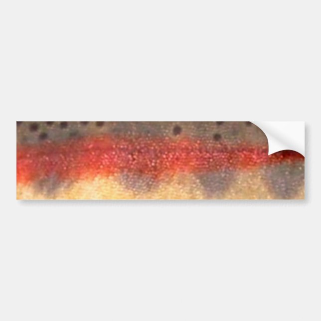 Autocollant De Voiture Truite d'or par PatternWear© (Devant)