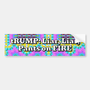Autocollant De Voiture TRUMP : Menteur, menteur, pantalon sur le FEU