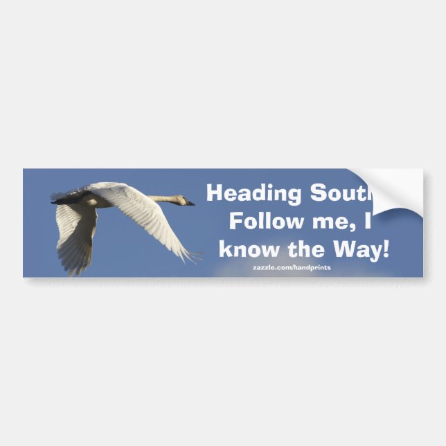 Autocollant De Voiture Trumpeter Swan Bumpersticker (Devant)