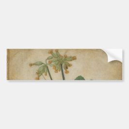 Autocollant De Voiture Tuft of Cowslips par Albrecht Durer