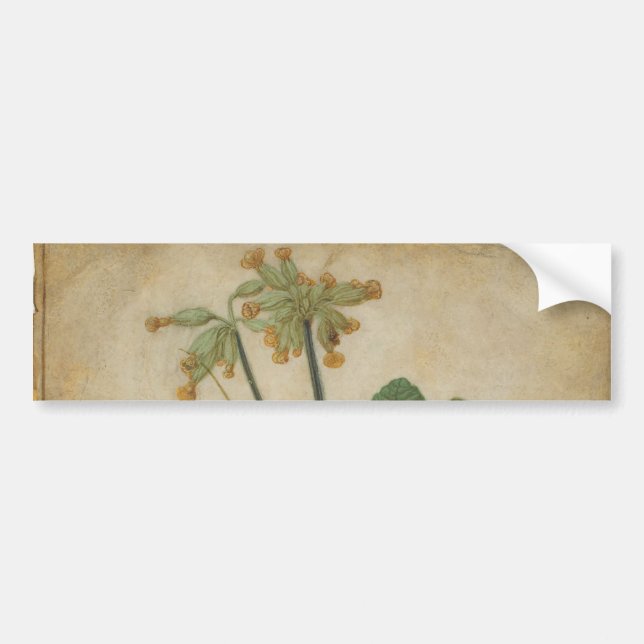 Autocollant De Voiture Tuft of Cowslips par Albrecht Durer (Devant)