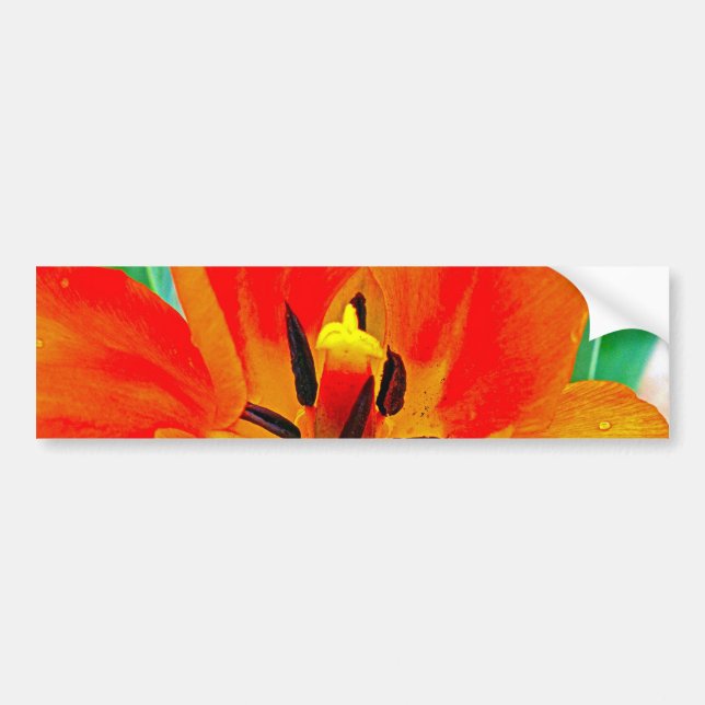 Autocollant De Voiture Tulipe orange (Devant)
