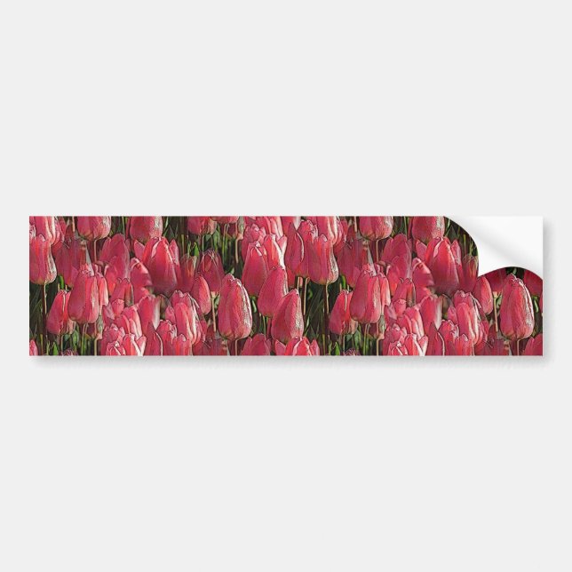 Autocollant De Voiture Tulipes roses florales (Devant)