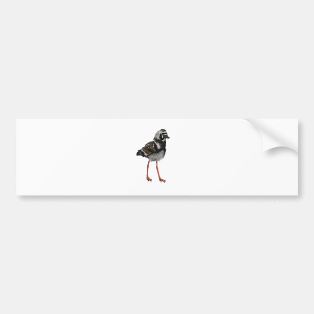 Autocollant De Voiture Turnstone vermeil (Devant)