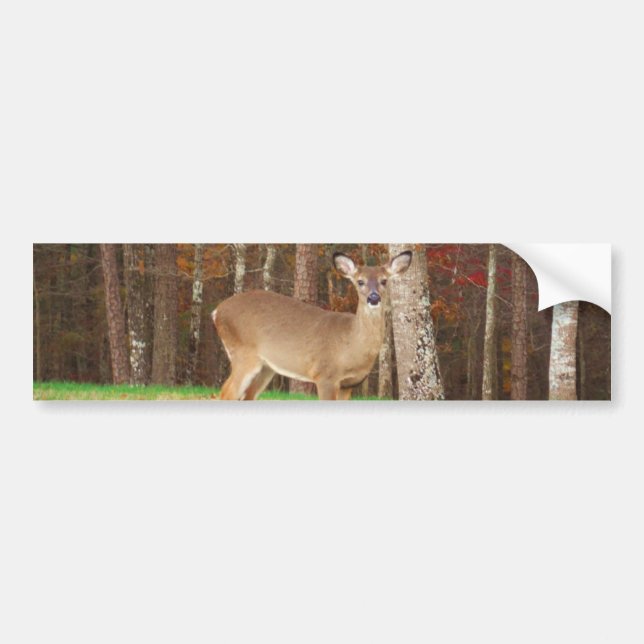 Autocollant De Voiture Un cerf de rêve de chasseur (Devant)