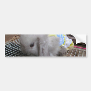 Autocollant De Voiture Un mignon lapin en robe